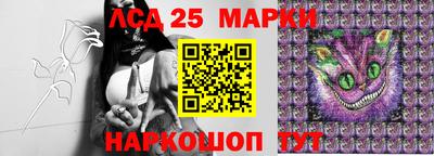 кокс Бийск